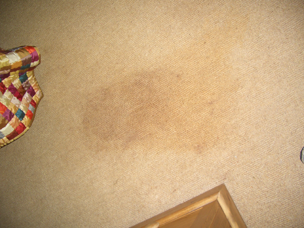 Carpet Cleaning Image